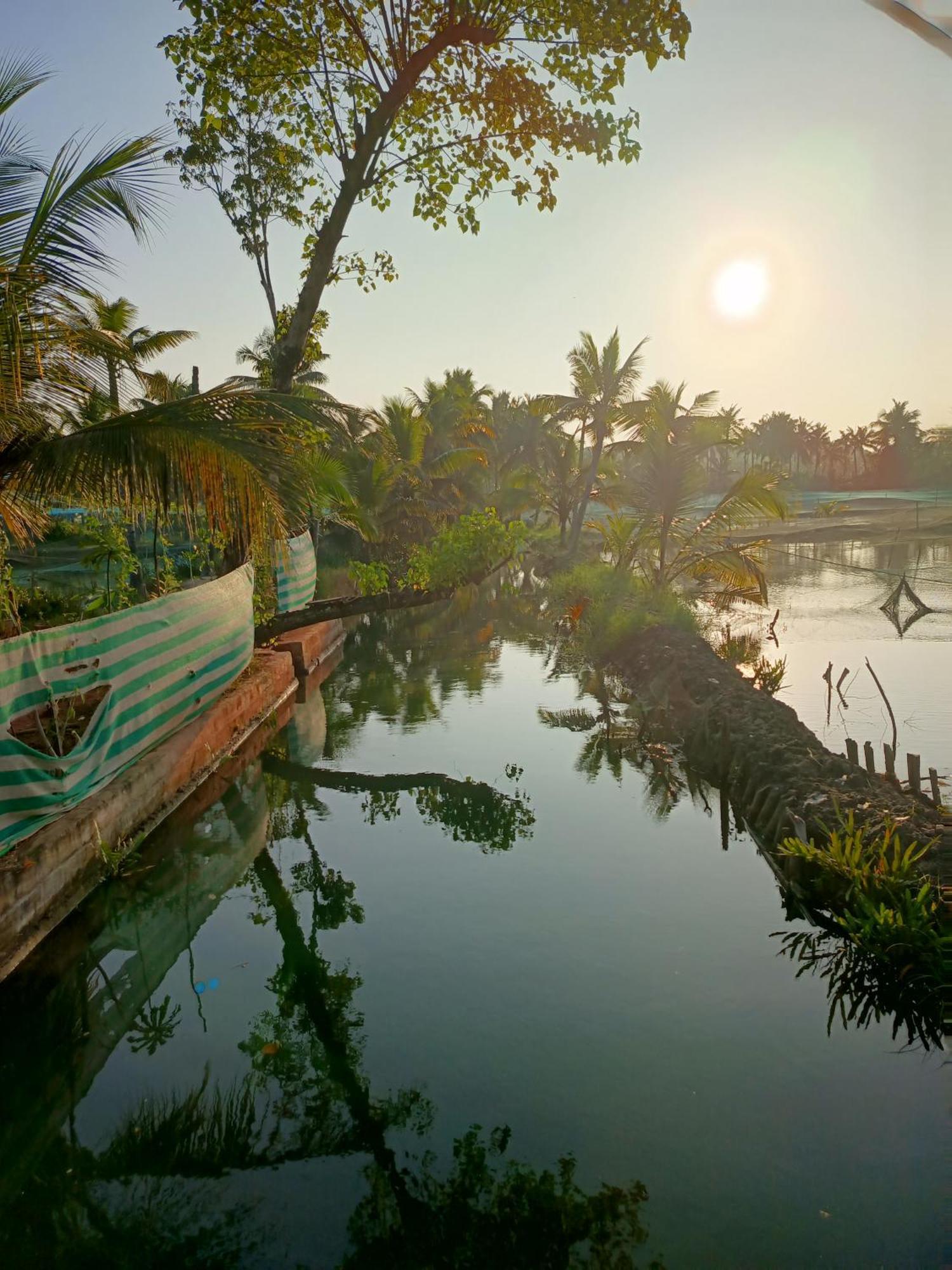 Bliss Homestay Munroe Island Mundrothuruth ภายนอก รูปภาพ