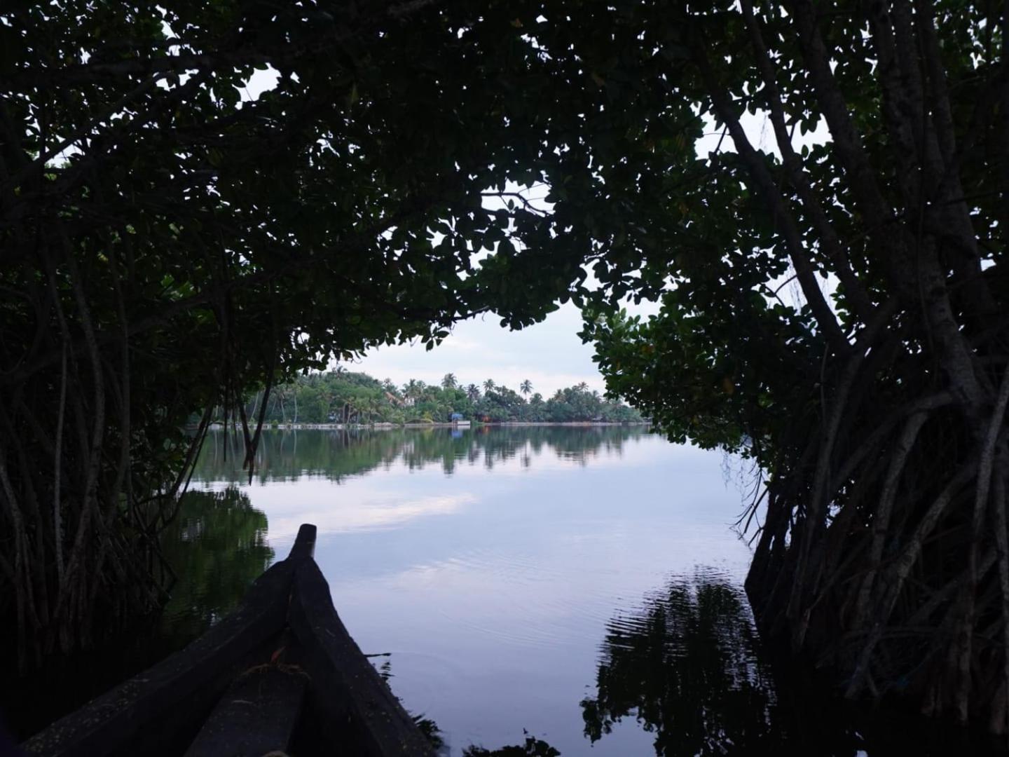 Bliss Homestay Munroe Island Mundrothuruth ภายนอก รูปภาพ