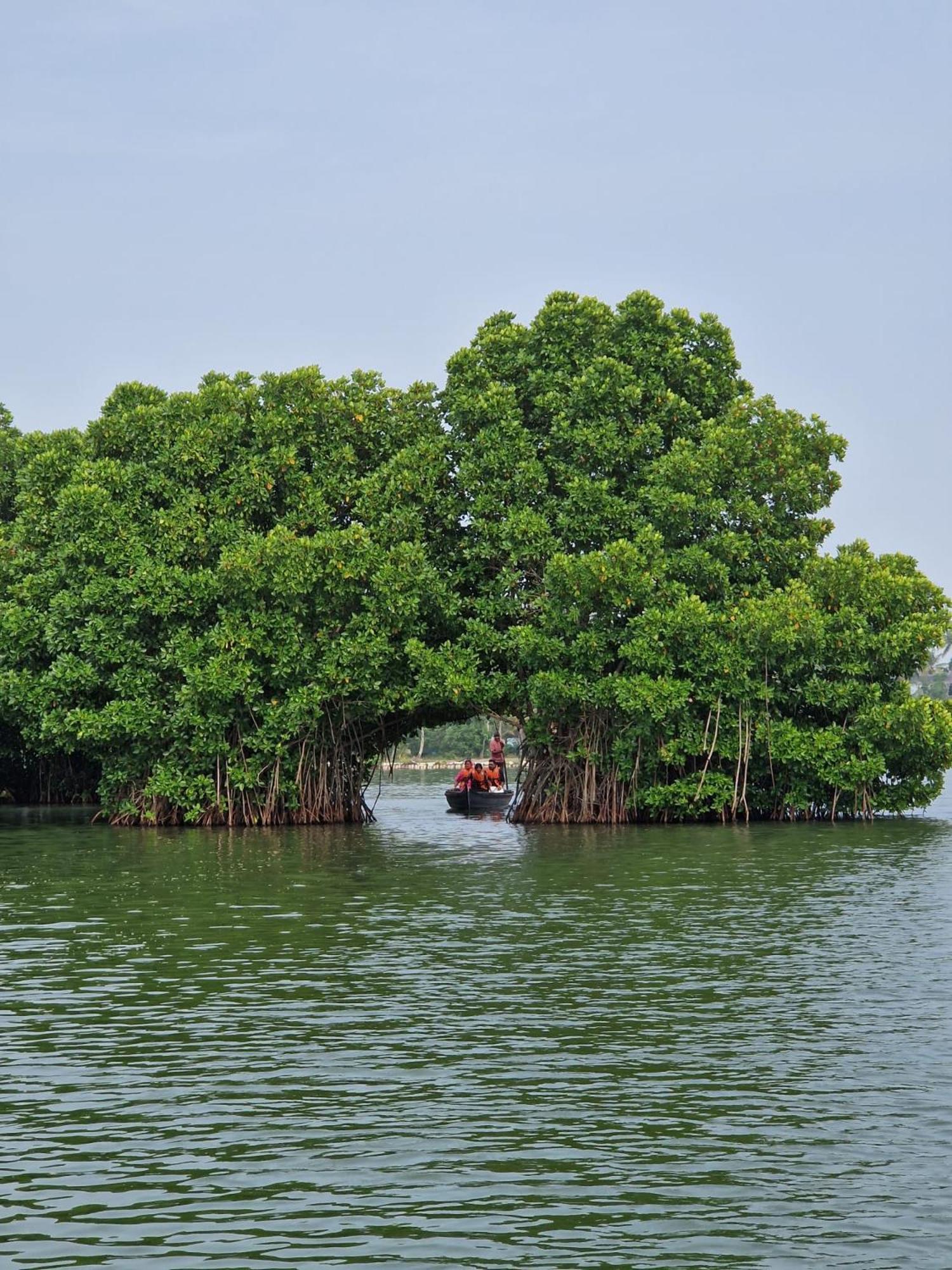 Bliss Homestay Munroe Island Mundrothuruth ภายนอก รูปภาพ