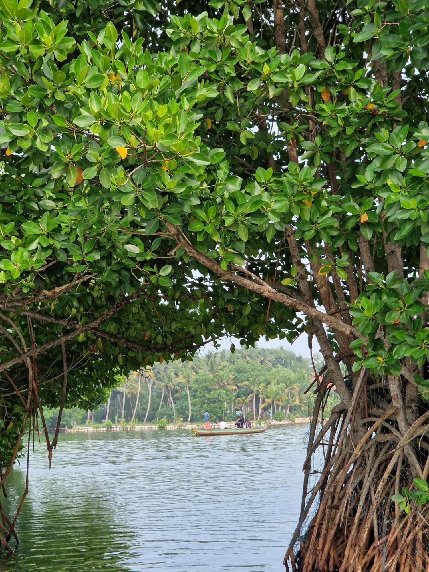 Bliss Homestay Munroe Island Mundrothuruth ภายนอก รูปภาพ